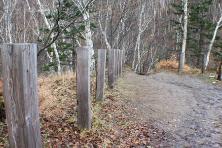 Autumn nature on Sakhalinの写真素材