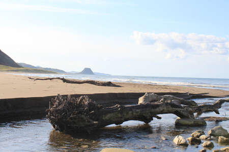 Autumn nature on Sakhalinの写真素材