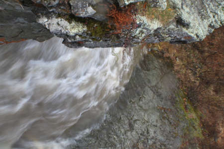 Autumn nature on Sakhalinの写真素材