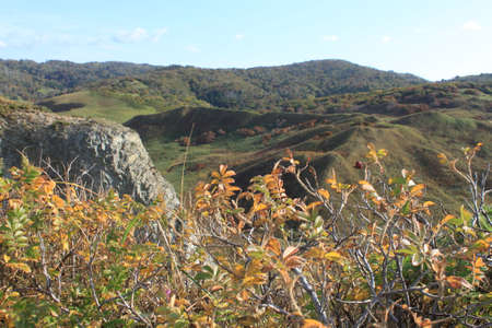 Autumn nature on Sakhalinの写真素材