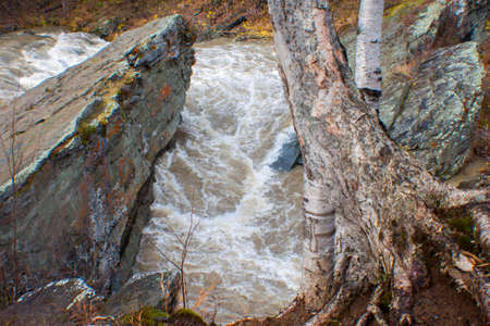 Autumn nature on Sakhalinの写真素材