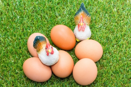 eggs with chickens on green glass の写真素材