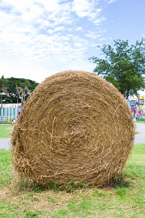 straw bales on farmland with blue skyの写真素材