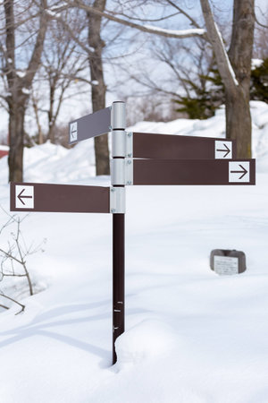 Blank direction signs in snowの写真素材