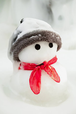 cute little snowmanの写真素材