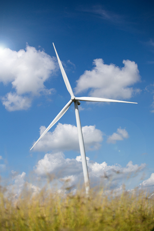 Wind Turbine Farm with Sunlight