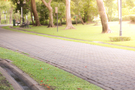 Paved Path in a Beautiful Formal Garden