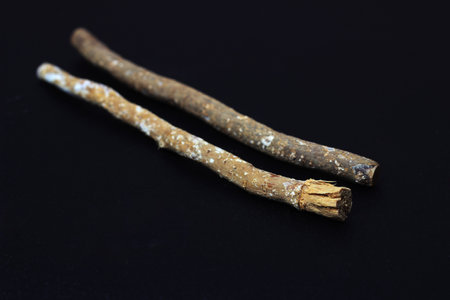 Siwak or Miswak, Arabian, Ancient Traditional Tooth brush and pasteの写真素材