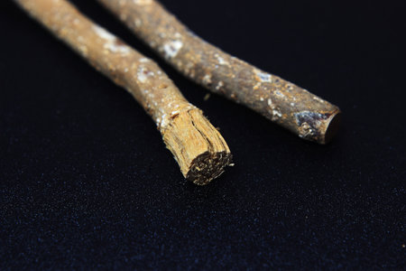 Siwak or Miswak, Arabian, Ancient Traditional Tooth brush and pasteの写真素材