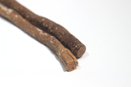 Siwak or Miswak, Arabian, Ancient Traditional Tooth brush and pasteの写真素材