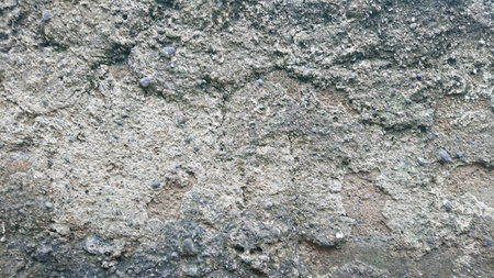 abstract cement wall and moss, for background