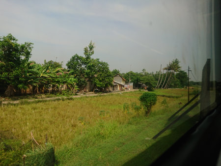 photo of rice Field, View from trainの写真素材