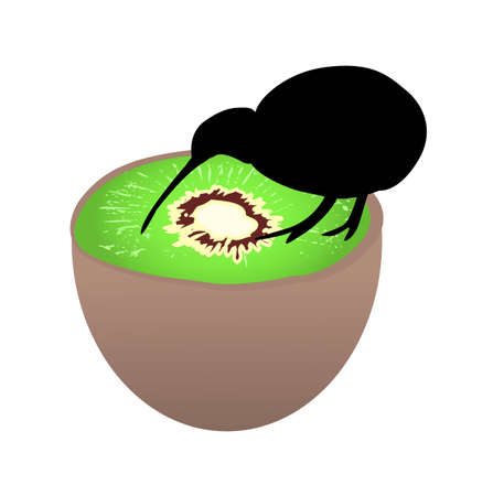 Small black kiwi bird sitting on a kiwi fruit, flightless bird, symbol of New Zealandのイラスト素材