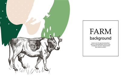Sample cover for agricultural brochure. Sketch cow. Horizontal template for dairy farm. Background for flyers, banners, posters. Sketch cow.のイラスト素材