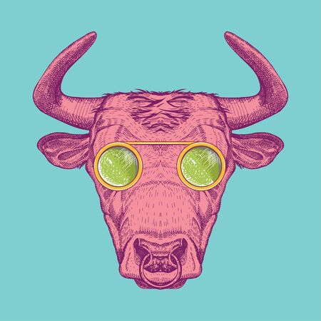 image of a cow with glasses. Bull painted in pink on a turquoise background.のイラスト素材