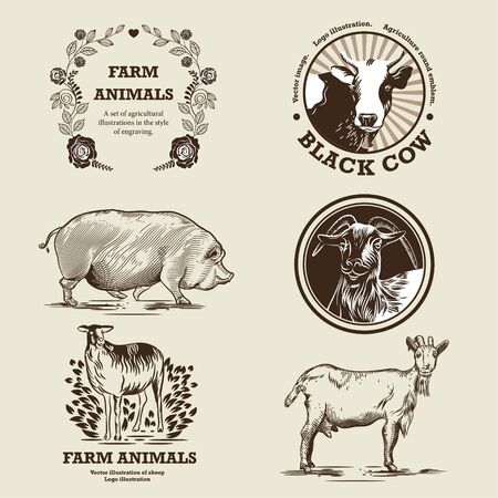 Goat, sheep, pig and cow illustration in the style of engraving.のイラスト素材