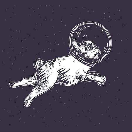 Pug astronaut flies in space. Cosmic illustration.のイラスト素材