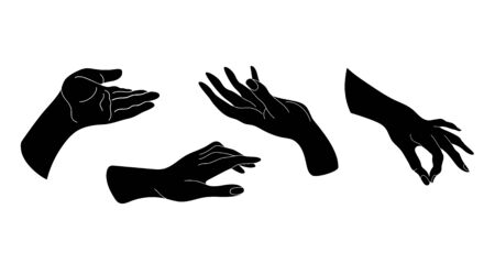 Set of images of hands. Different positions of the hands.のイラスト素材