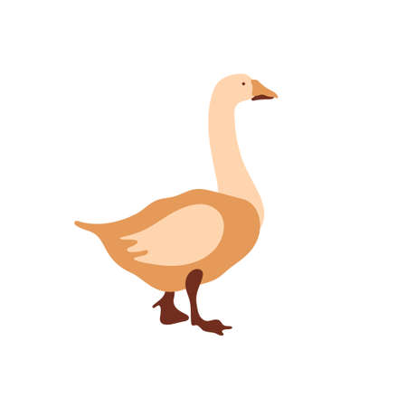 Vector image of a goose. Multi-colored segments. Agriculture. Vector illustration.のイラスト素材