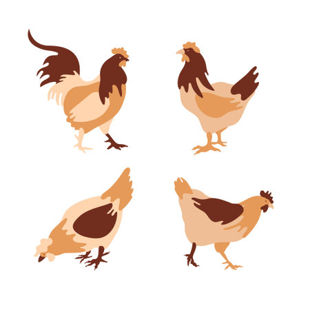 The silhouette of a chicken consists of multi-colored segments. Agriculture.のイラスト素材