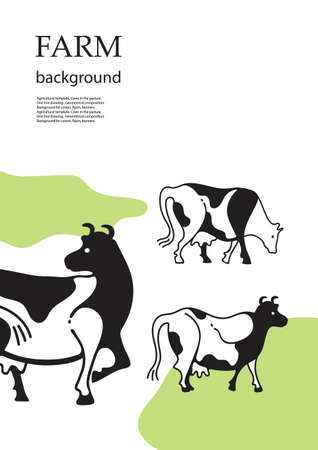 Cows in the pasture. Sample brochure. Agricultural background.のイラスト素材