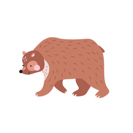 Cute cartoon bear. Can be used for kids clothes design, prints and posters.のイラスト素材