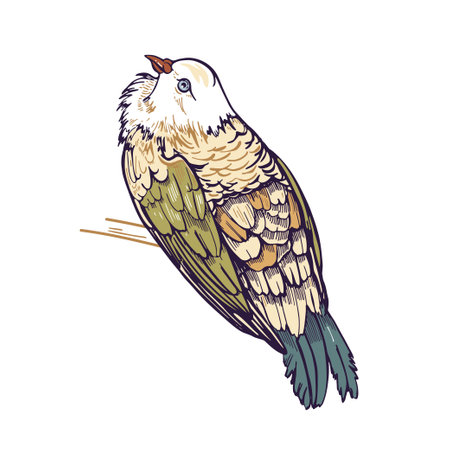 Bird on a branch. Forest pigeon. Vintage graphics. Vector illustration. Dove.のイラスト素材