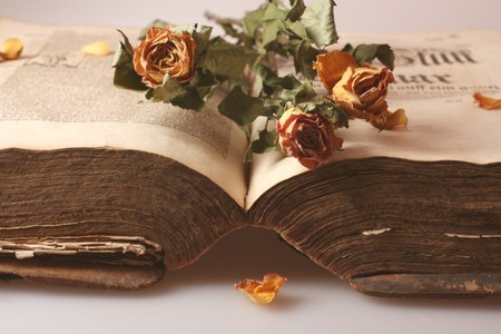 Ancient bookの写真素材
