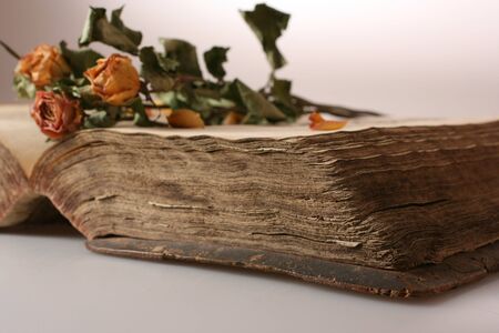 Ancient bookの写真素材