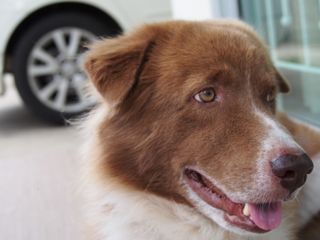 The Eyes Of A Youthの写真素材