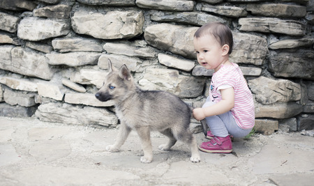 A baby that pulls the dogの写真素材