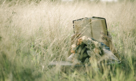 Young woman reading in natureの写真素材