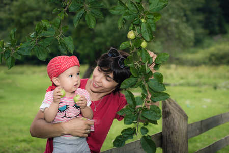 Mother and daughter picking applesの写真素材