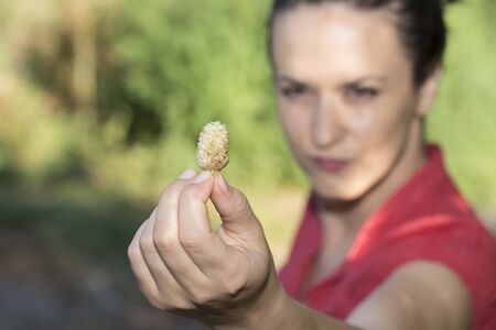 Beautiful woman with a mulberryの写真素材