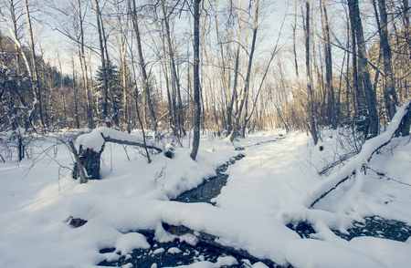 winter landscapeの写真素材