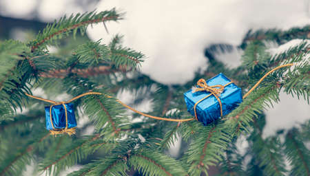 Little christmas gifts on Christmas treeの写真素材