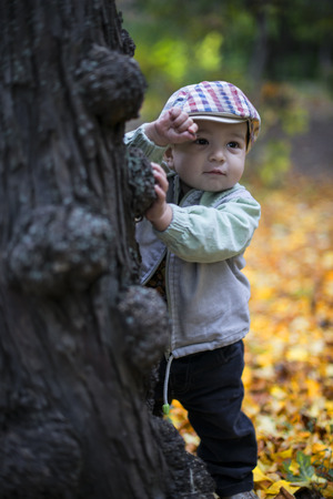 Portret of a little boy in autumnの写真素材