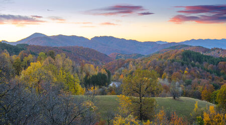 Autumn landscapeの写真素材