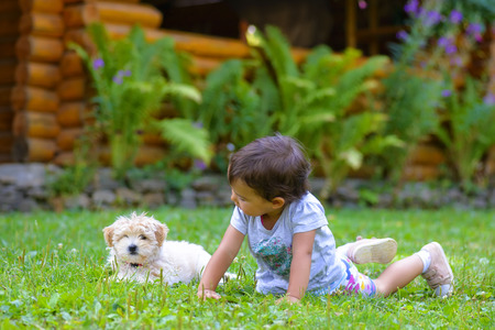 Little girl playing with a little puppy