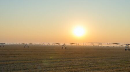 Field with irrigation system at sunsetの写真素材