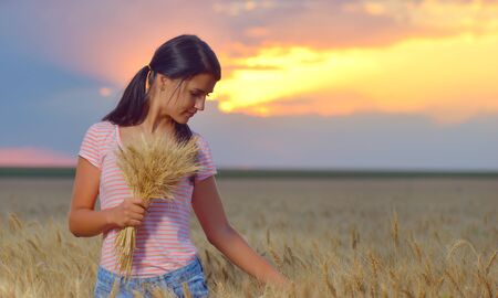 Girl feeling free in a beautiful natural setting in wheat field at sunsetの写真素材