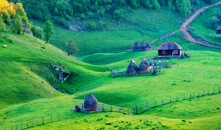 mountain landscape in summer morning, Romaniaの写真素材