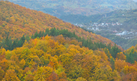the mountain autumn landscape with colorful forest, in Vrancea,の写真素材