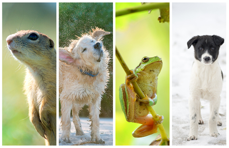 Different seasons of the year - several photos of beautiful nature. Life cycle conceptの写真素材