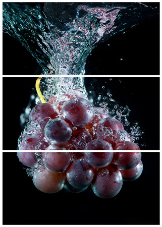 Collage concept with one single photo of a grape fruitの写真素材