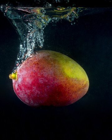 Mango splashing in  water on black backgroundの写真素材
