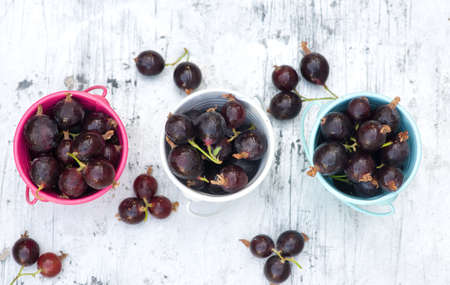 Ripe organic currant berries in little bucketsの写真素材