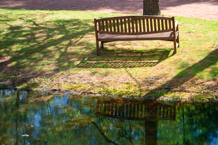 green park in Germanyの写真素材