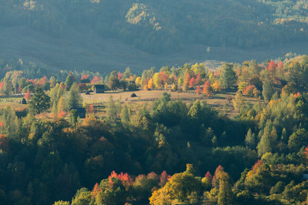 Aerial view of houses and forest in autumn seasonの写真素材