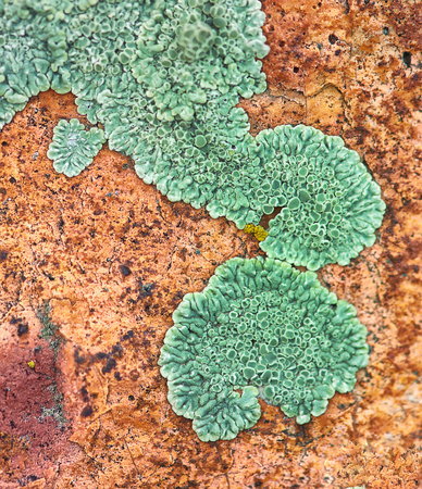 Stone texture closeup backgroundの写真素材